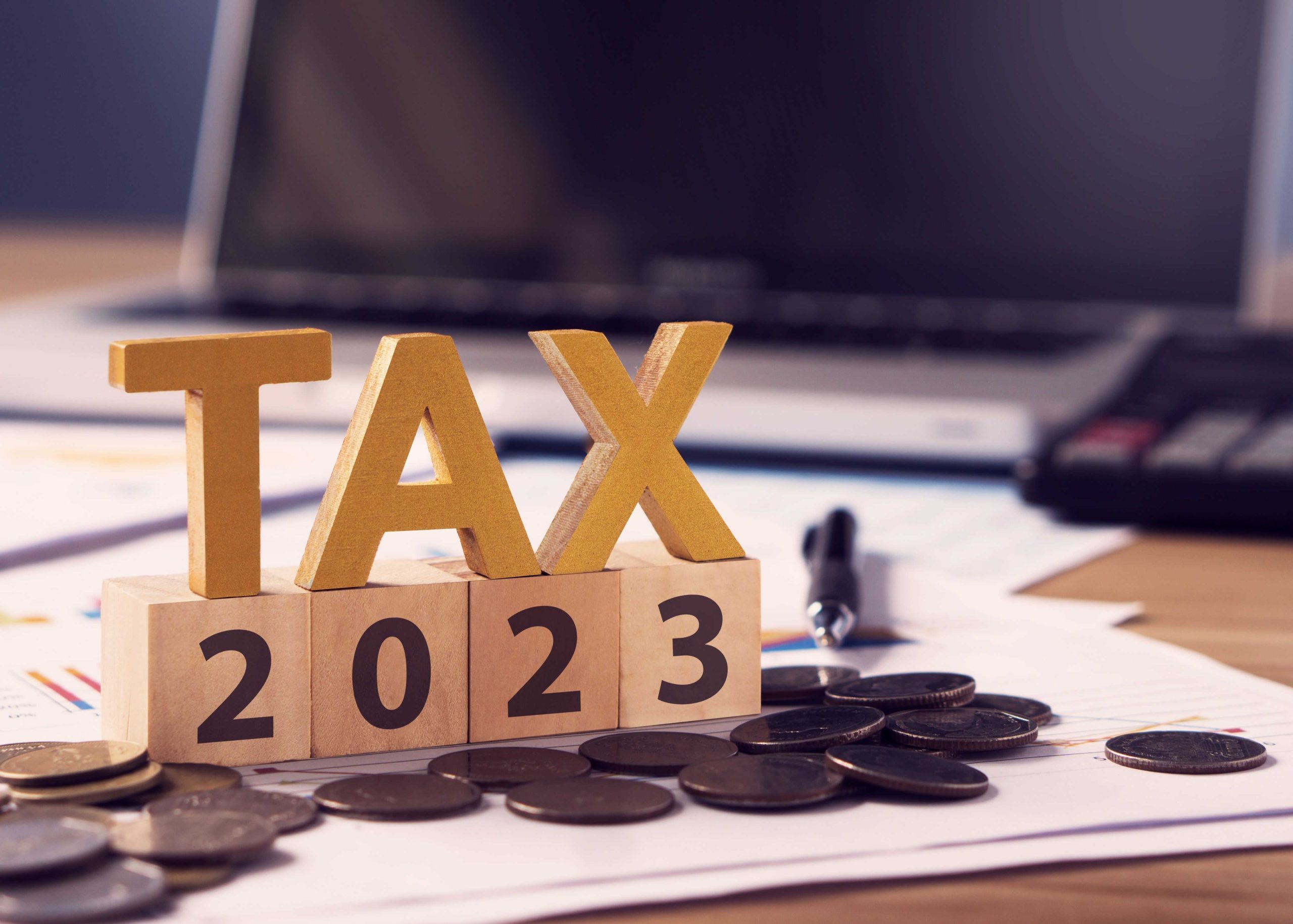 Federal individual tax credits for 2024 Akler Browning LLP